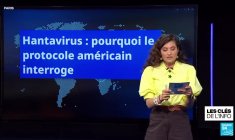 Hantavirus : à chacun son protocole sanitaire