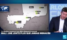 Mali : Comment expliquer la série d'attaques coordonnées ?