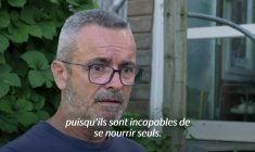 Dans le massif du Jura, le retour à la vie sauvage d'un jeune lynx rescapé