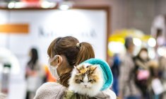 Une startup japonaise a déposé une demande d'homologation pour un nouveau traitement contre l'insuffisance rénale chronique chez le chat ( AFP / Philip FONG )